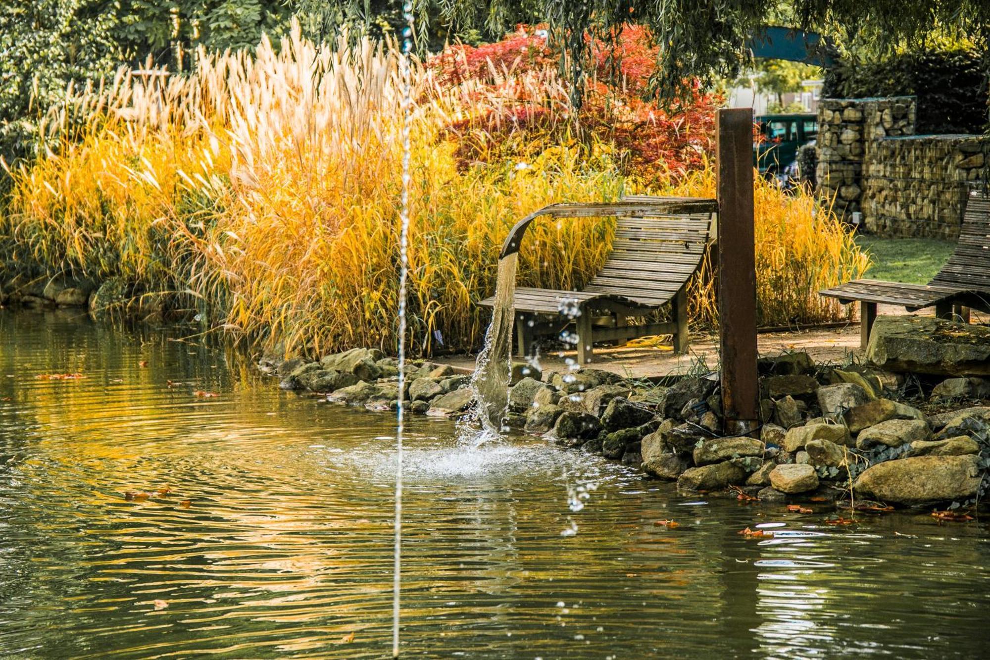 קאמפ-לינטפורט Wellings Parkhotel מראה חיצוני תמונה